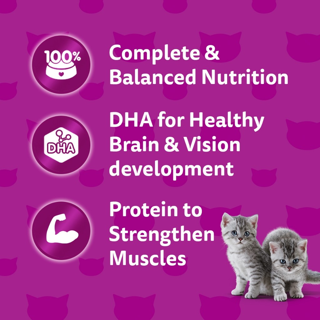 WHISKAS Makanan Kucing Basah Dalam Pek 80G