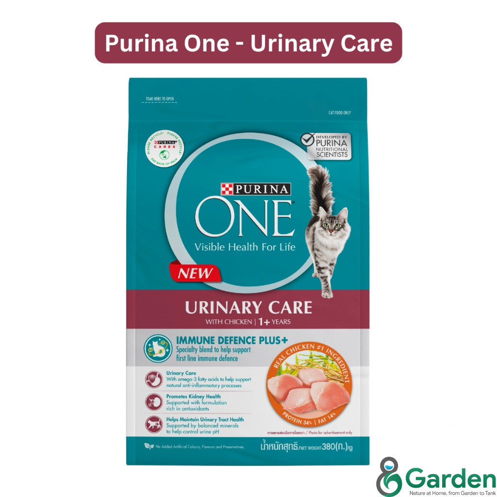 Purina One Cat Dry Food 380g Premium Adult Kitten Indoor Urinary Care Makanan Kering Kucing 猫粮干粮