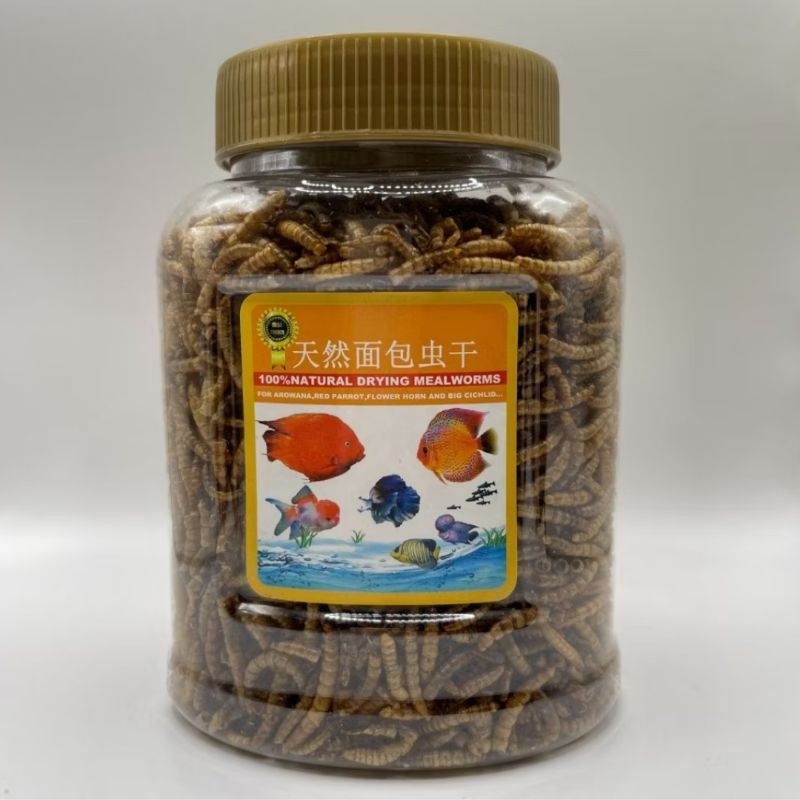 100% Natural Dried Mealworms 120g | High Protein Fish Food | Makanan Ikan
