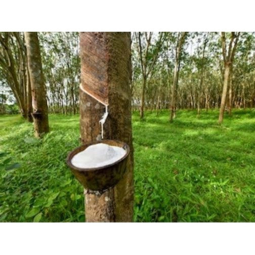 Etrolin 1000 Latex Stimulant 500ml / Penggalak Susu Getah / Red Merah / Ethephon 10% / 100% Original