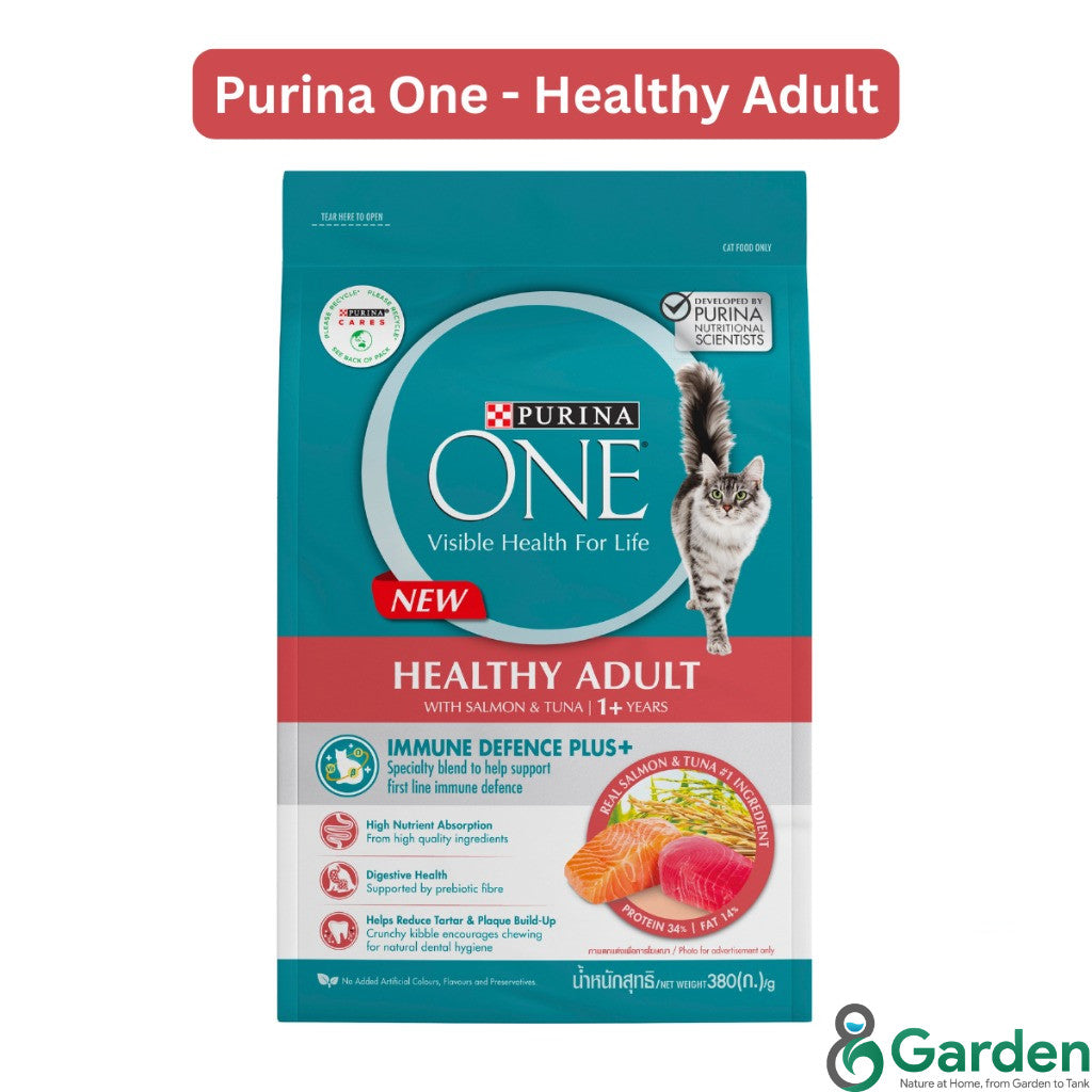 Purina One Cat Dry Food 380g Premium Adult Kitten Indoor Urinary Care Makanan Kering Kucing 猫粮干粮