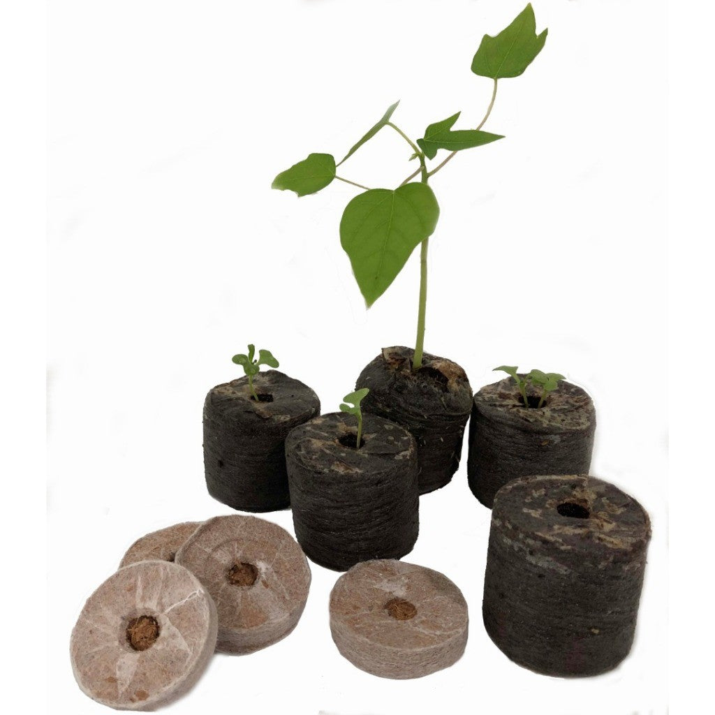 Peat Pot / Trio Growmate Peat Pot 泥炭土粒 12pc | High Quality, Germinate Seeds, Prevent Insects & Ants (Official Seller)