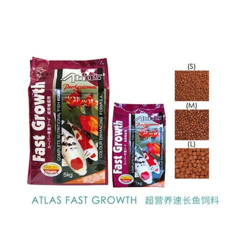 Atlas Koi Fish Food 1KG (M/L) – Fast Red | Fast Growth | Spirulina | Floating Pellet for Koi & Tropical Fish