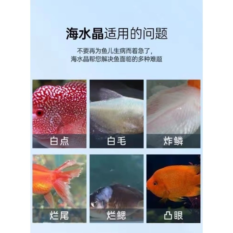 HaiBao Artificial Sea Salt 1kg - For Saltwater Fish, Marine Shrimp, Coral, Aquarium Use