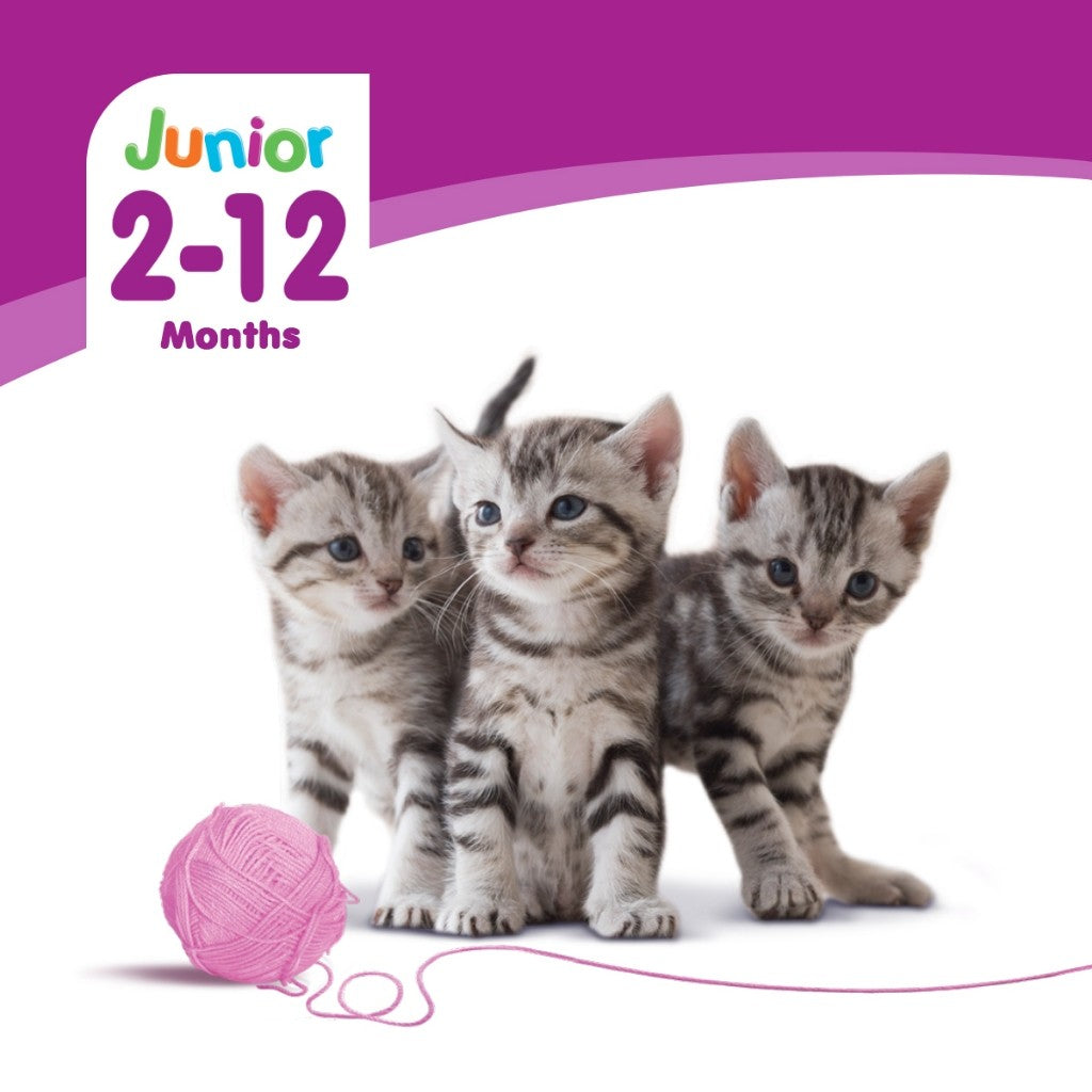 WHISKAS Makanan Kucing Basah Dalam Pek 80G