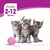 WHISKAS Makanan Kucing Basah Dalam Pek 80G