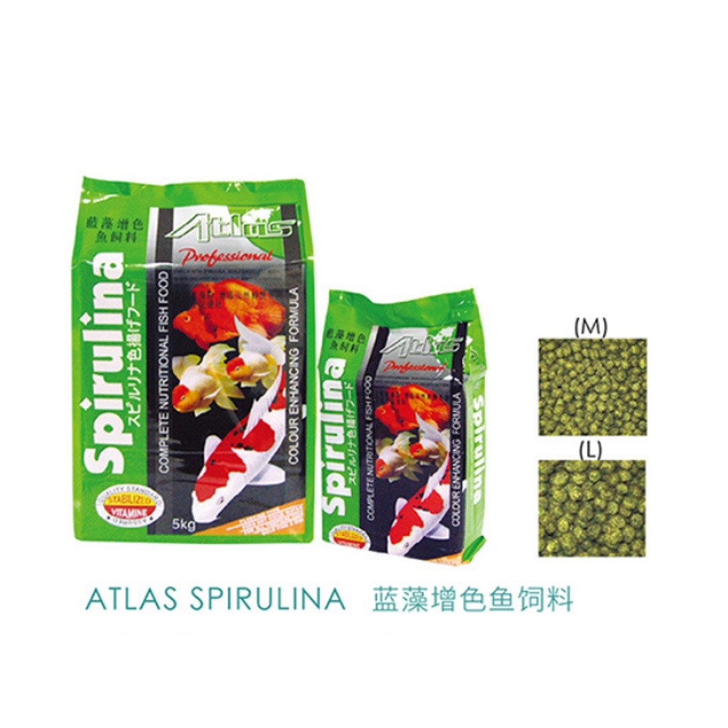 Atlas Koi Fish Food 1KG (M/L) – Fast Red | Fast Growth | Spirulina | Floating Pellet for Koi & Tropical Fish
