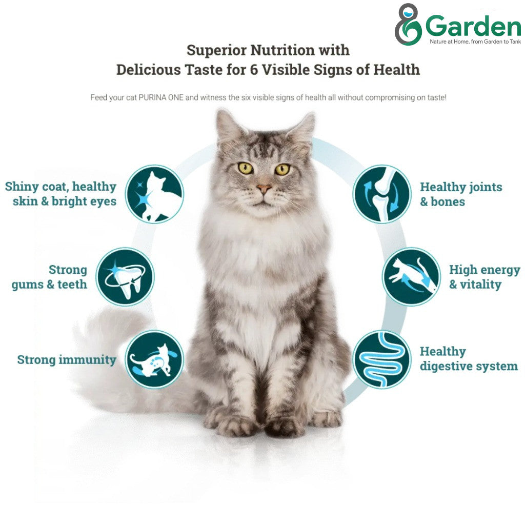 Purina One Cat Dry Food 380g Premium Adult Kitten Indoor Urinary Care Makanan Kering Kucing 猫粮干粮