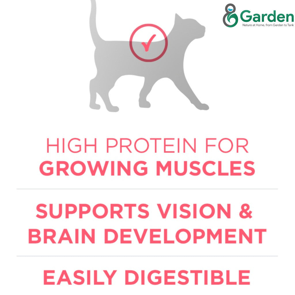 Purina One Cat Dry Food 380g Premium Adult Kitten Indoor Urinary Care Makanan Kering Kucing 猫粮干粮