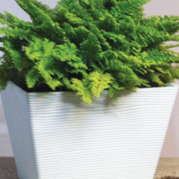 Felton Square Pot FBL2491 / FBL2492 / FBL2493 / FBL2494 / FBL2495 | Plastic Flower Pot | Pasu Bunga Taman