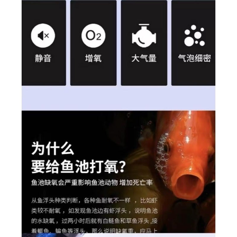 Stainless Steel Nano Aeration Tube / Air Ring / Oxygen Plate - For Aquarium, Koi Pond, Seafood Tank Aeration