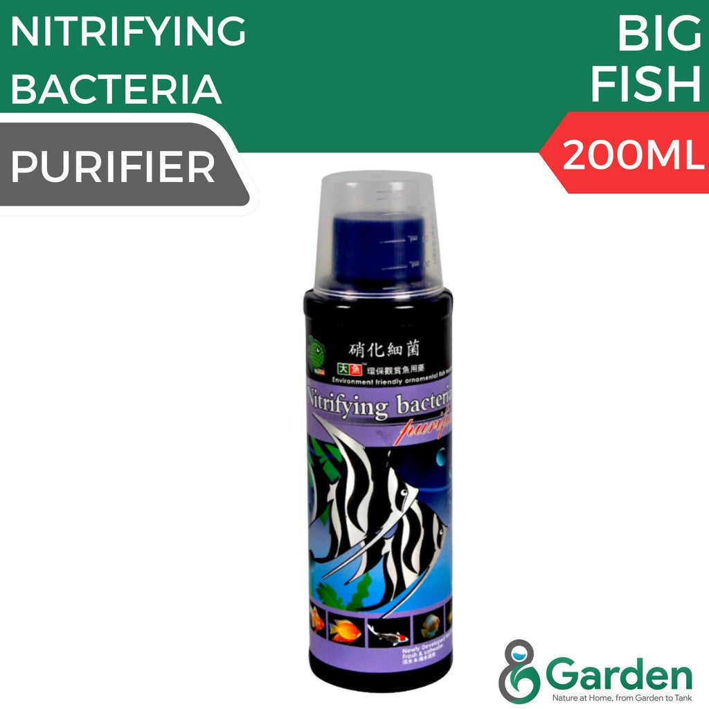 Big Fish BF403 Nitrifying Bacterial Purifier 200ml – Aquarium & Pond Beneficial Bacteria Pembersih Bakteri Nitrat 200ml