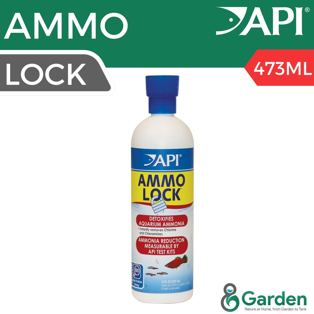 API Ammo-Lock 473ML – Ammonia Detoxifier for Freshwater &amp; Saltwater Aquariums Pemutih Ammonia