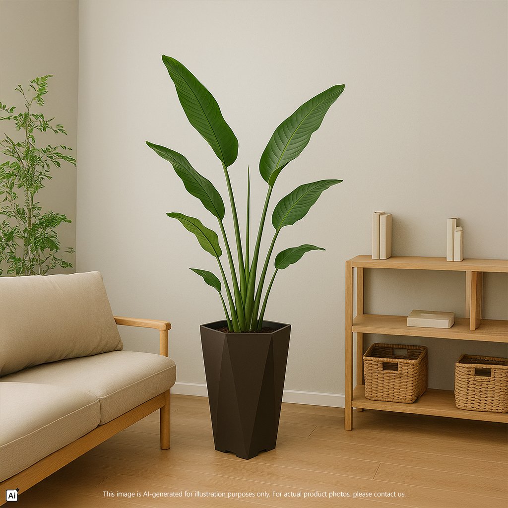 Felton Leafy Drift Planter Pot Series