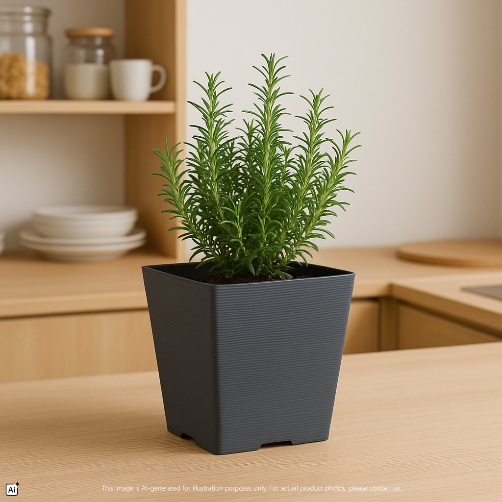 Felton Sylvan Leafage Planter Pot Series
