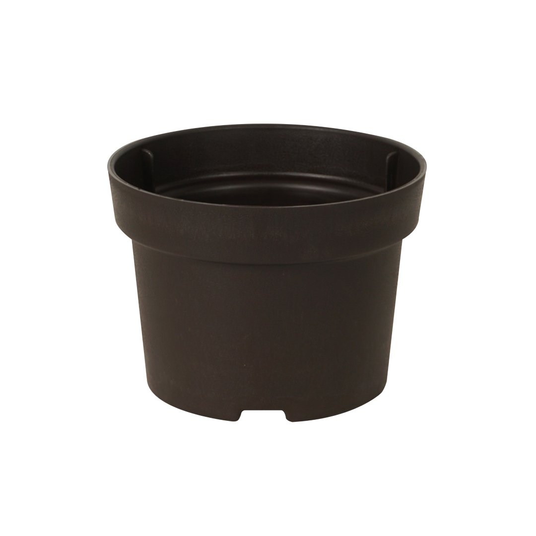 Felton FBL 2744 from Verdant Bliss Planter Pot Series