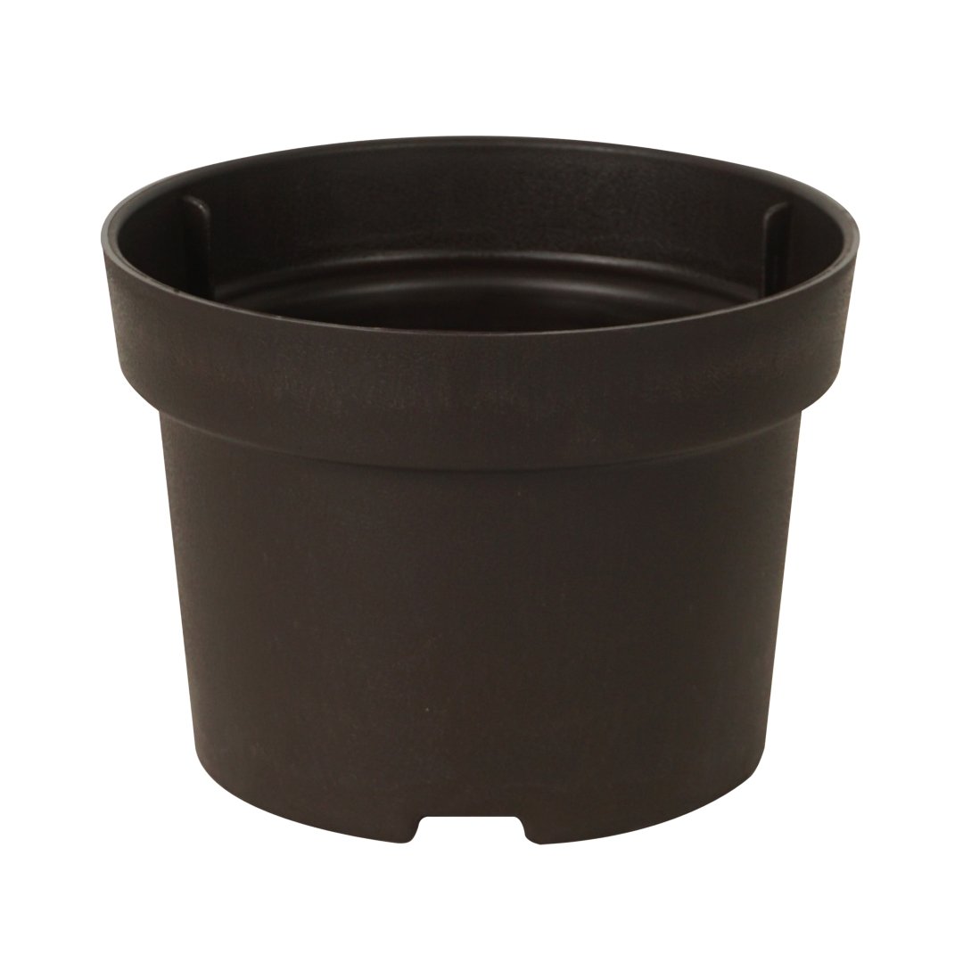 Felton FBL 2746 from Verdant Bliss Planter Pot Series