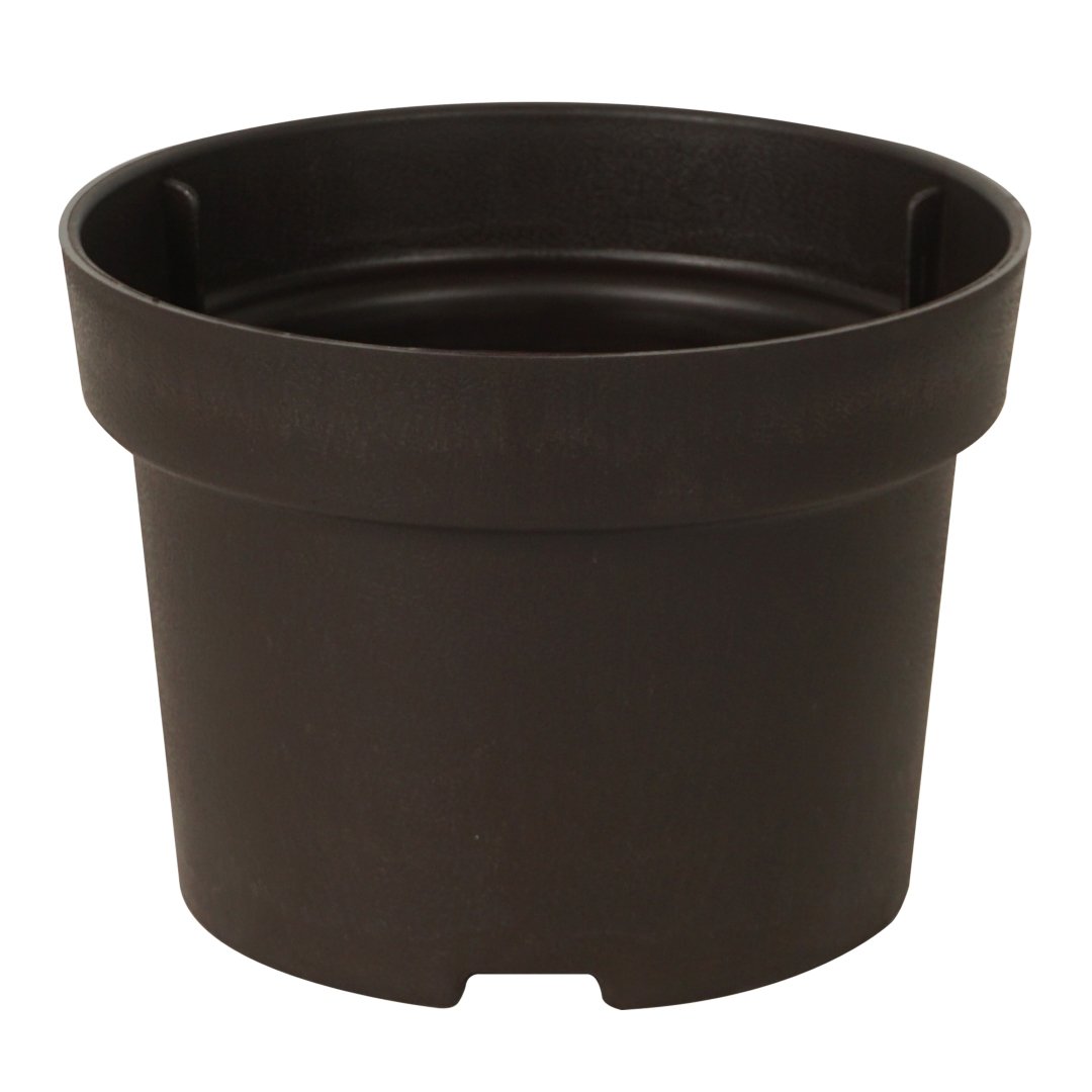Felton FBL 2747 from Verdant Bliss Planter Pot Series